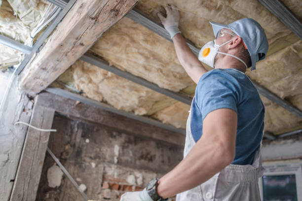 Best Cellulose Insulation in Irwin, PA